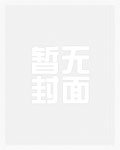 乾坤罩狐狸